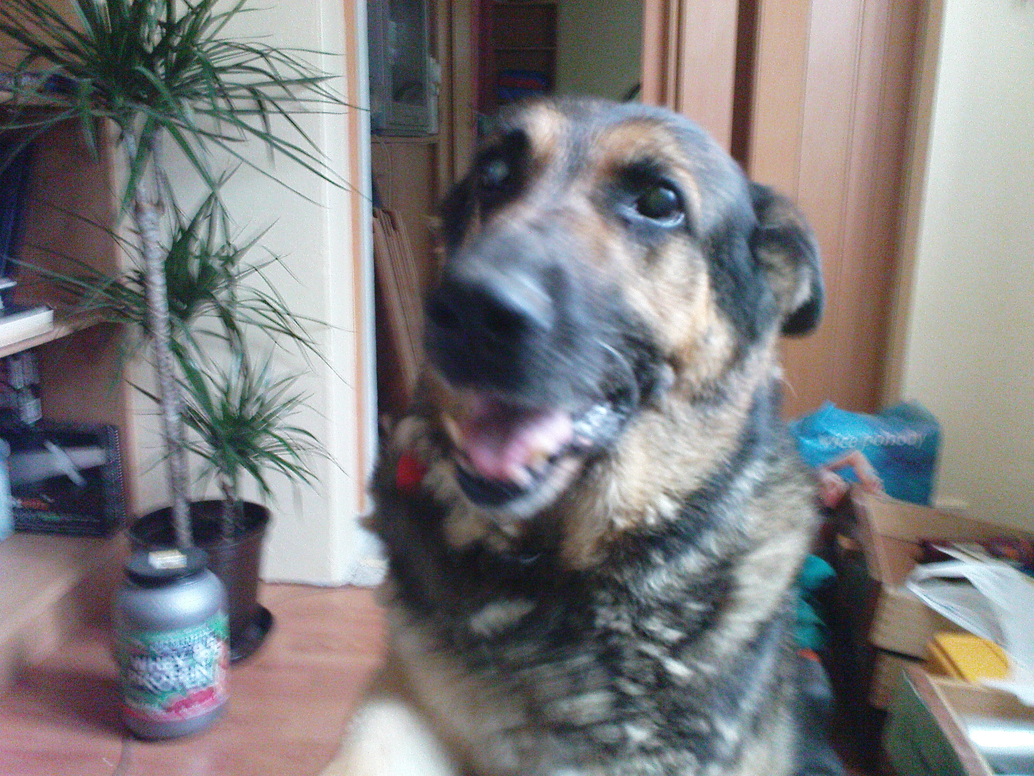 DSC00041.JPG